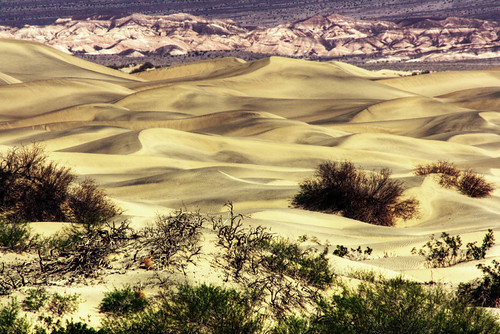 Mesqite Sand Dunes 2 | by bekinaz