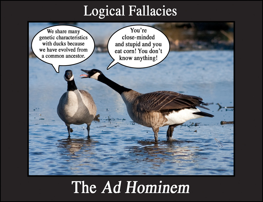 Logical Fallacies 1 | Here is an example of a common logical… | Flickr