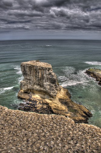 Muriwai HDR by nzcjs