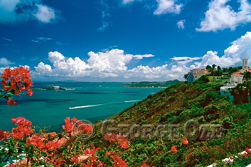 beach colorful shorelines puertorico scenic places tropical colourful fajardo marcaribe caribbeansea elconquistadrohotel