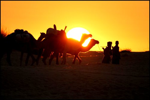 travel sunset sahara desert dunes silhouettes westafrica mali timbuktu camels tuareg sahel tomboctou wa3