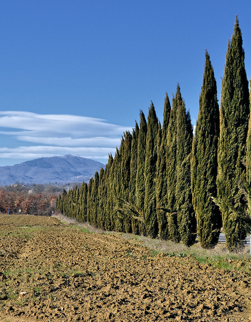 Winter Tuscan countryside