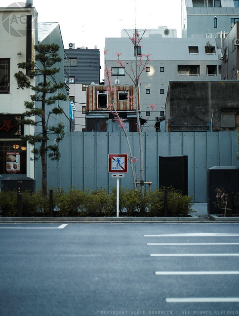 Some shack: Ningyocho, Tokyo