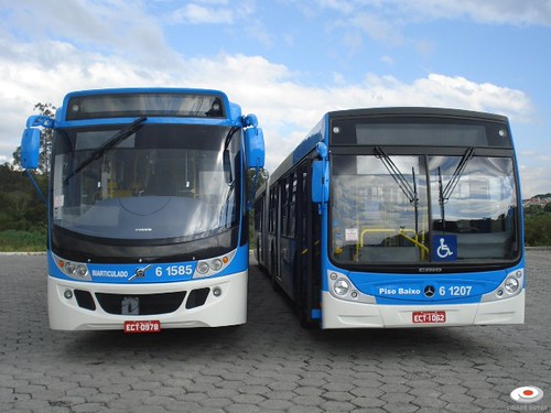 Prontos para transportar! | by Viação Cidade Dutra