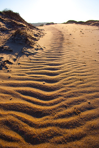 Guadalupe Sanddunes | by eleephotography