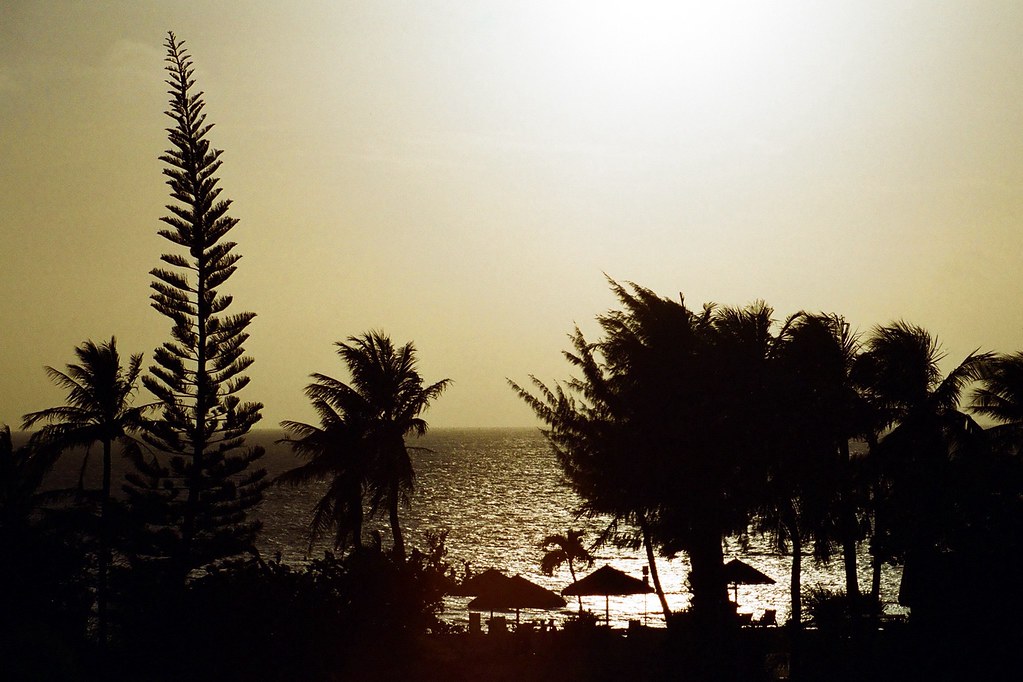 Micro Beach Silhouette