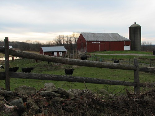 barn farm ct woodbury