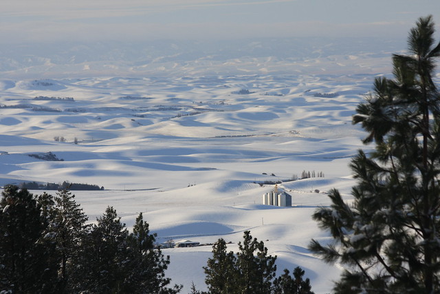View from Moscow Mountain, November 23, 2009