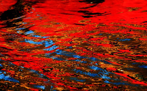 Water art: A touch of blue in a sea of red by peggyhr
