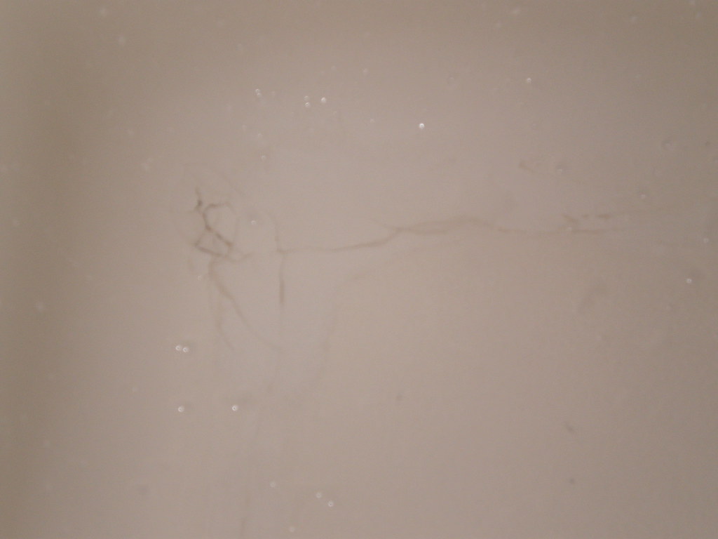 bathtub crack