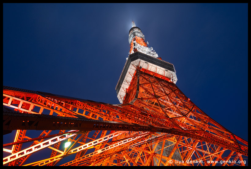 Tokyo Tower at Night, Shiba Park, Minato, Tokyo, Kanto Region, Honshu Island, Japan