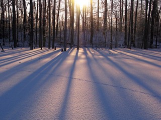 8/365: Sunlight On Frozen Pond