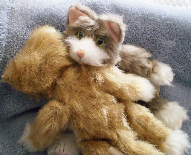 Ginger Kitty Gets a BIG Hug from Dusty Kitty