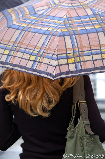 Umbrella in the Rain