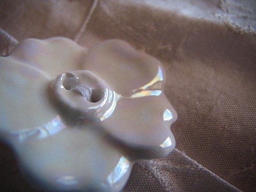 Button close up | by Batqueen