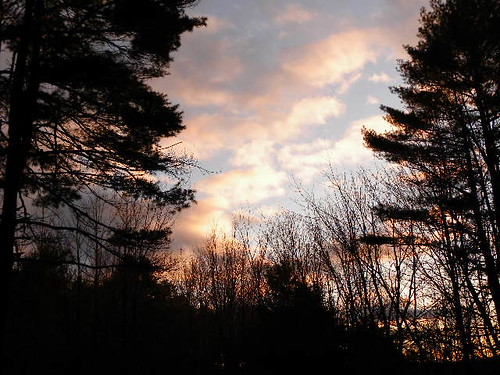Breathe by Only`Live~Once!, Coulds just after sunrise.trees sky clouds sunrise