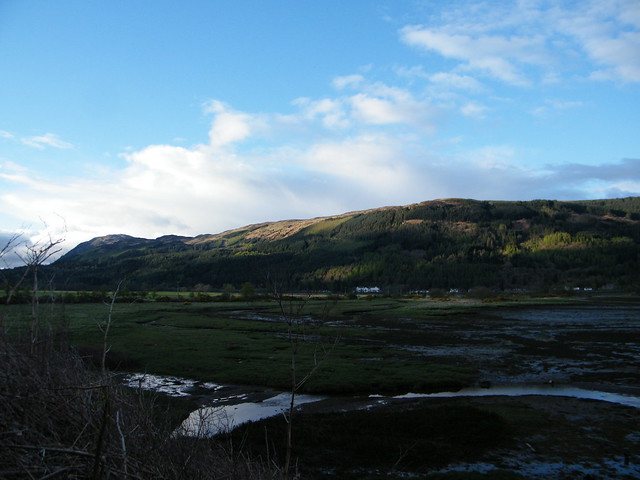 Holy Loch Mudflats