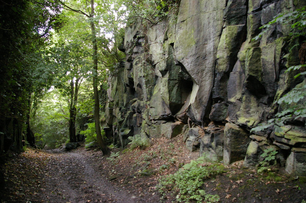 calverley cutting | calverley cutting in calverley woods, ca… | Flickr
