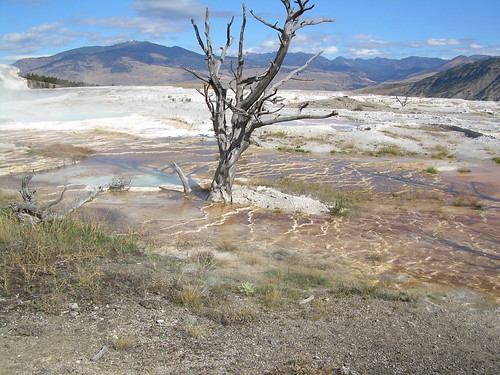 hotsprings | by allison e