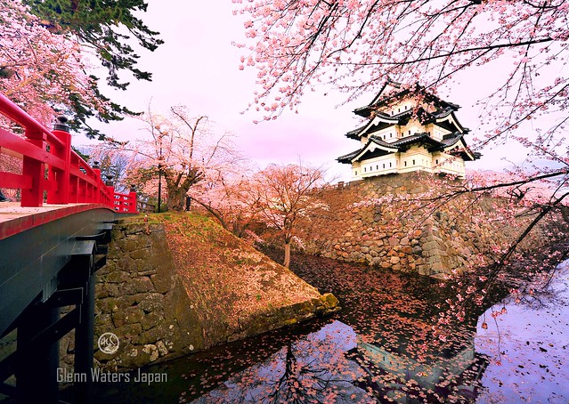 Photos of Japan. Hirosaki castle in spring. (Hirosaki Japan). © Glenn Waters.  Over 11,000 visits to this photo.  Thank you.