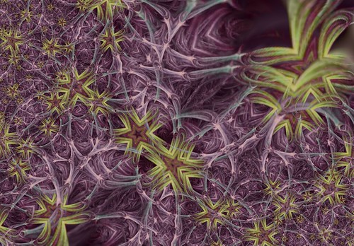 Iris Star screen capture March 2010 | by IrisStar