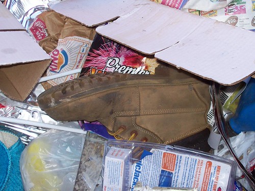 Boot In Dumpster | by In Memoriam BACKYard Woods Explorer