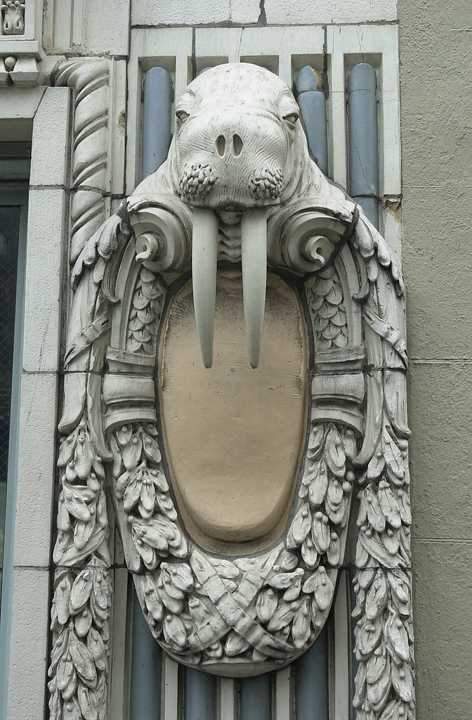 Walrus resting on an Arctic building
