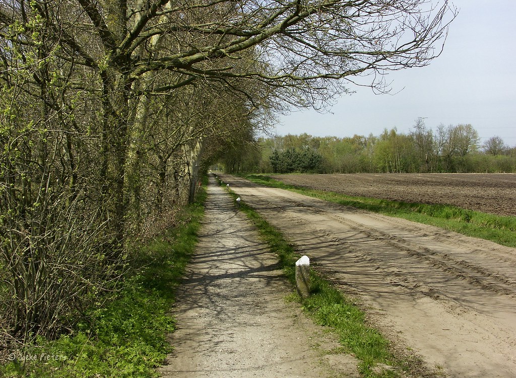 We have lots of roads like this around Winterswijk and we cherish them by joeke pieters
