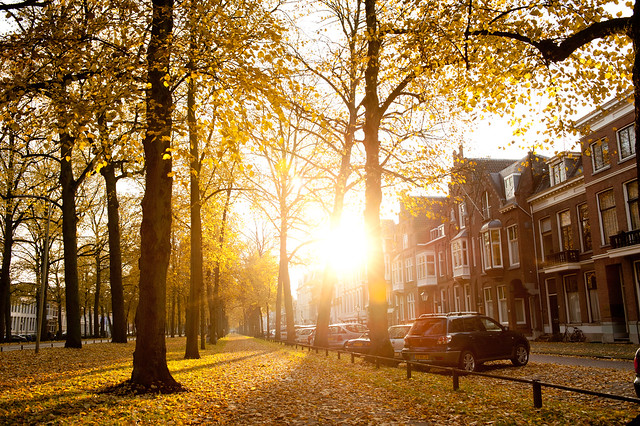Maliebaan - Sunny Autumn Afternoon in Utrecht