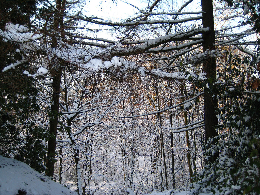 Winter 2010 | Flickr