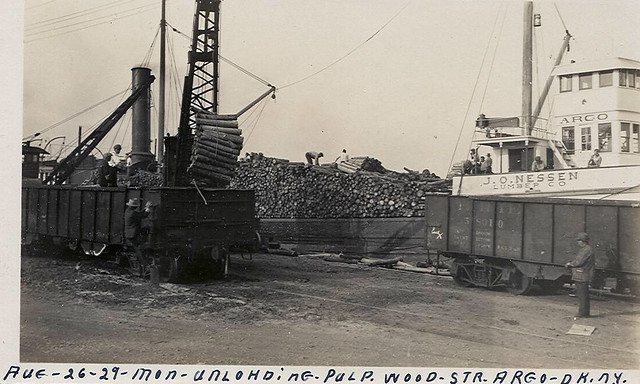 Unloading pulp wood at Dunkirk, NY