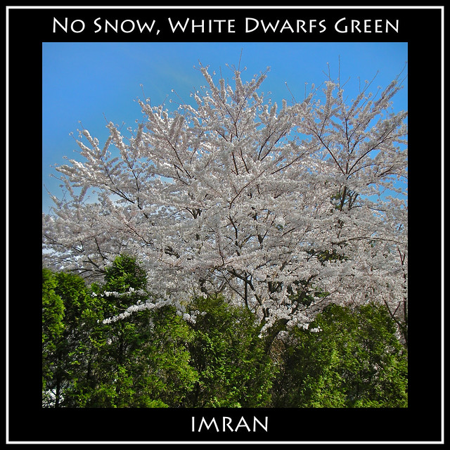 No Snow, White Dwarfs Green - IMRAN™ — 2000+ Views!