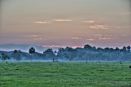 morning field grass fog clouds sunrise nikon florida farm pasture spanishmoss hdr highdynamicrange d300 grazingland photomatix manateecounty jonathansabin