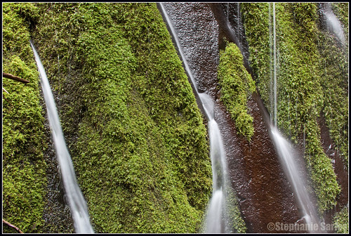 camping cliff usa oregon waterfall moss spring hiking or trail cascades campsite basalt umpqua umpquariver northumpquatrail dreadandterror columnarfalls