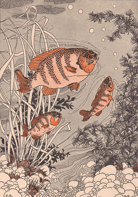 Lived an old mother fish and her little fishes two...ill by Frederick Richardson