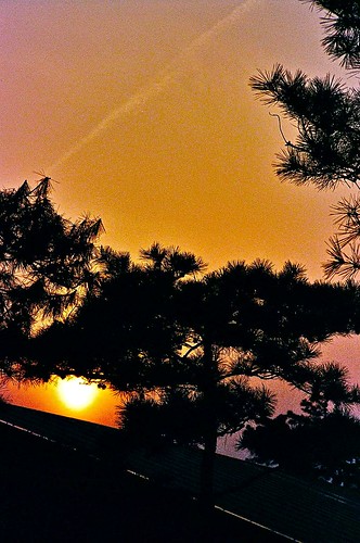 sunset southkoreafilmiso800songtanosan