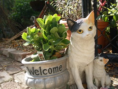 The Campos Garden 'Welcome Cat'