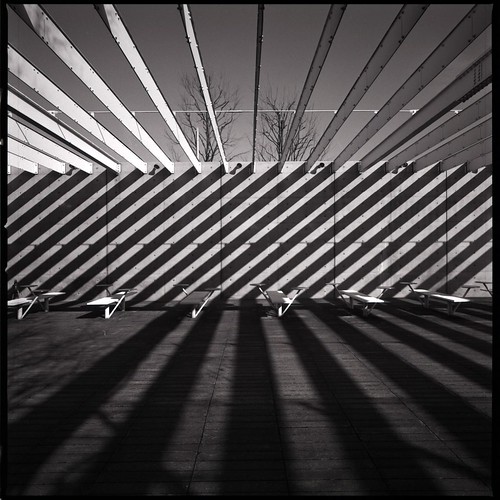 Stripes (HASSELBLAD SWC) | take HASSELBLAD SWC Carl Zeiss Bi… | Flickr