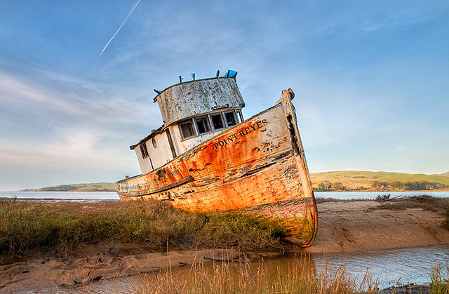 Beached on Tomales Bay