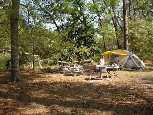 Backyard Camping | by kctschida