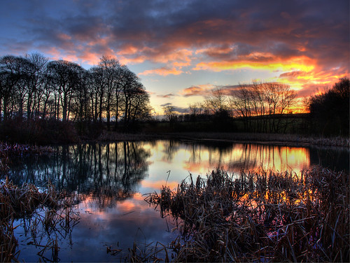 Sunrise At Goosehill Pond by Osgoldcross Photography