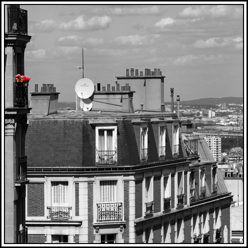 Geraniums over Paris