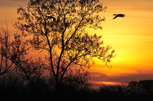 park sunset tree creek duck spring kansas wichita chisholm chisholmcreekpark