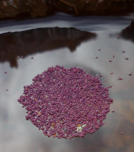 surface tension | by randomtruth
