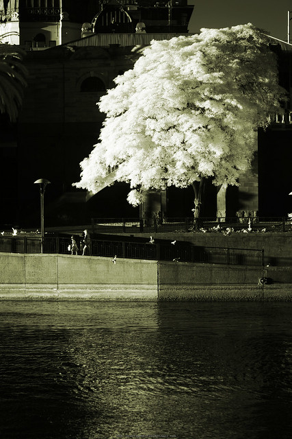 [Infrared] The Ungreenly City - IMG_9397
