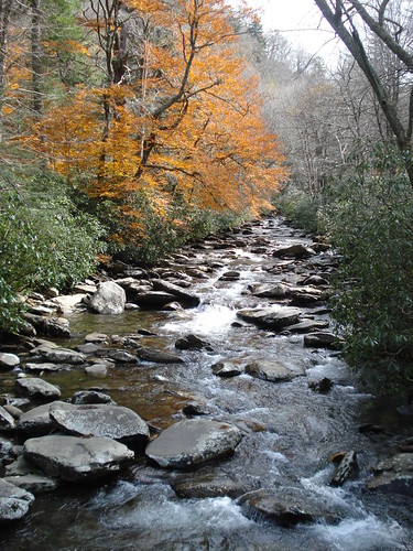 Fall Creek | by T.M.Peto
