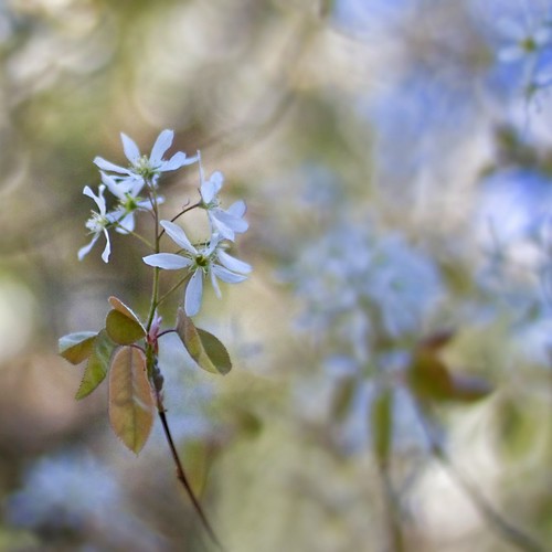 Looking up | by Lightspectral