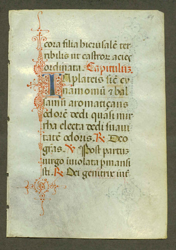 c.1470 Ferrera, Italy.  recto | by illustratormihi2