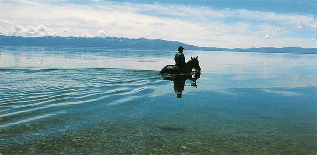 Horseman in Lake Song Kol, Kyrgystan by Alessandra Meniconzi