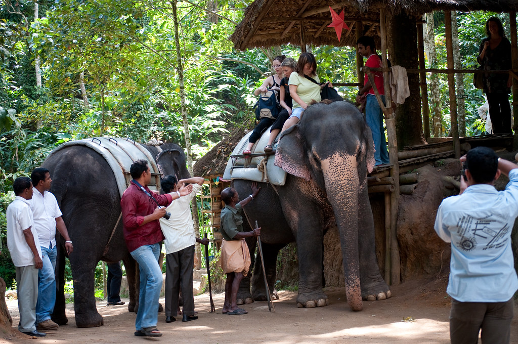 Elephant Ride in Thekkady 
